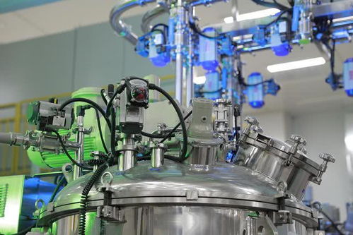 自动化生产线上的金针菇，高效、稳定
