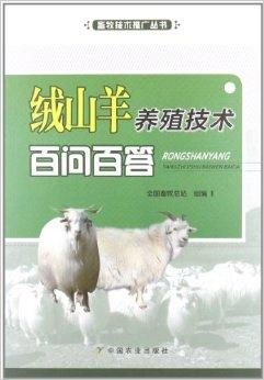 家禽钙磷失衡：畜牧养殖关键营养挑战