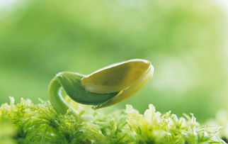 新手必踩的3大坑， 这些钱根本不用花