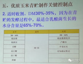 蓝大饲料全国排名依据有哪些，如何与养殖户需求匹配？