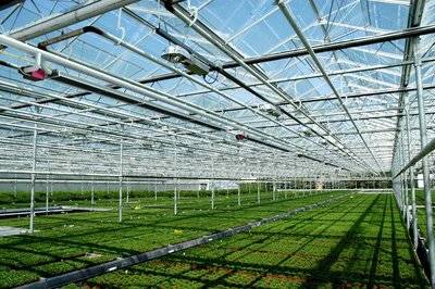 二氧化碳发生器助力大棚高效种植，提升农资效益