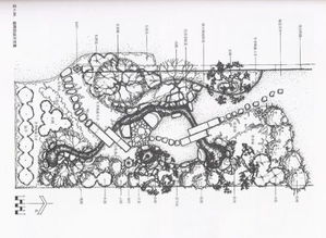 乔木的塑造, 枝繁叶茂中的线条魔术