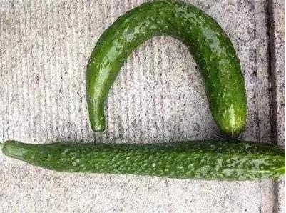 等三天还是十天？