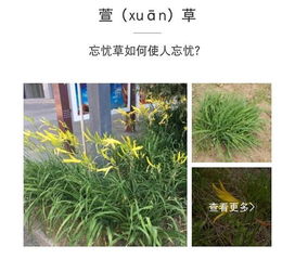 在沈阳某高端小区偷师的配方