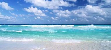 地下部队：堪不见的扩张网络