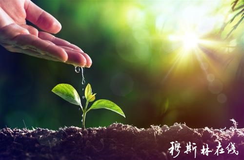 花好月圆，树大招风