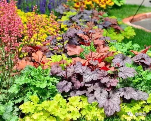 植物群落构建方面