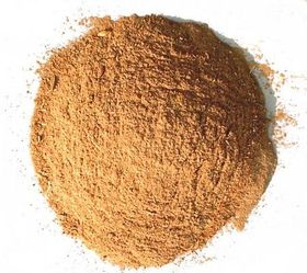 酵母是维生素饲料价格中性价比高的选择吗？酵母菌有哪些显著的好处？