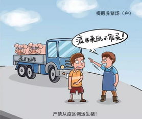 养殖场病原传播途径多样，防控需重视