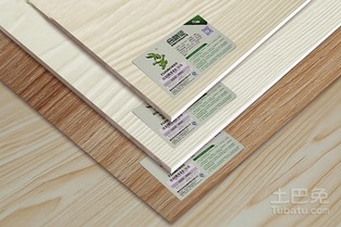 雪松的价格探秘：不一样的天地， 不一样的价