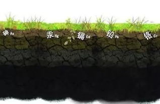 选对地方， 撒得均匀