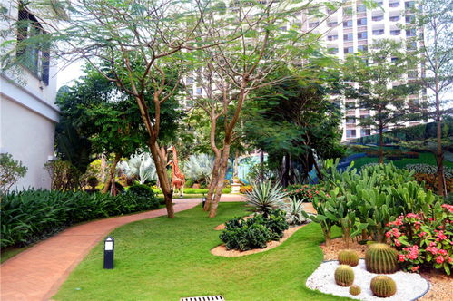 2. 资金投入，助力成长