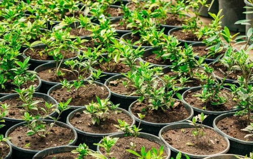 破解难题的方法