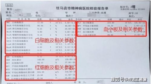 低氧血症，分三度