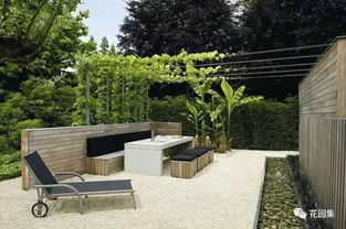 4. 鼠尾草， 小小植株大作用