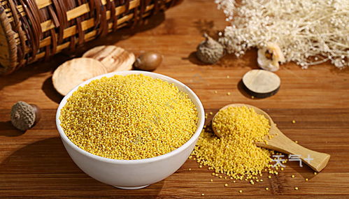 中粮豆粕在铁岭有哪些品牌？铁岭中粮豆粕品牌种类多吗？