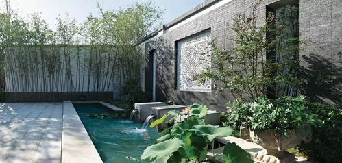 庭院种植，浪漫浪漫再浪漫！