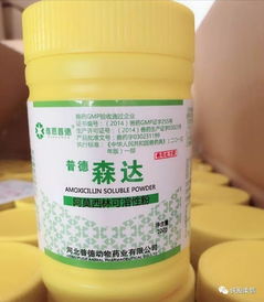 全能兽药能治疗哪些常见动物疾病？