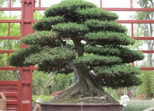 浇浇水，保保水