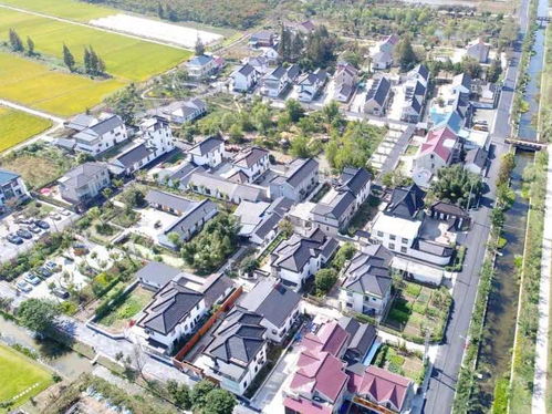 崇明区建设镇, 农药店铺寻踪记