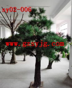 盆栽松树的多样品种， 让家居装饰焕发自然之美