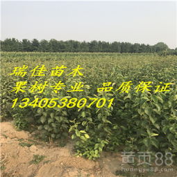 标签的趣味故事