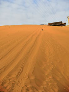 中卫沙漠种草，每年嫩省下一万元吗？揭秘“草光互补”