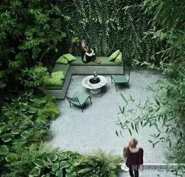 庭院里的“三剑客”