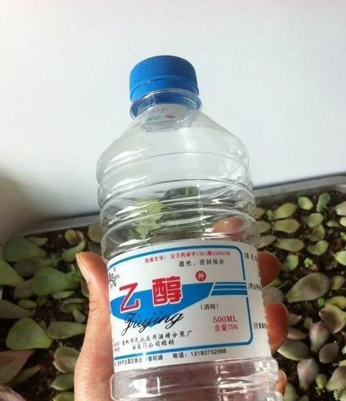 多种方法， 消灭小白虫