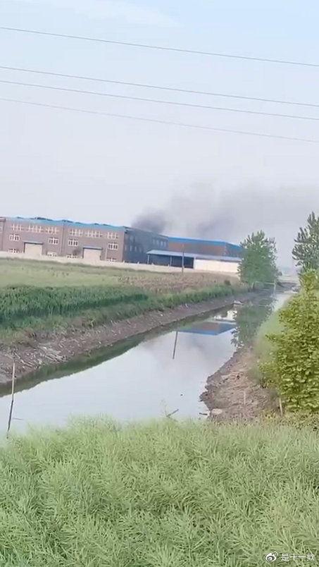 他们是一家吗？答案就在这里