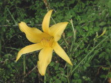 新手如何挑选既省时又省钱？