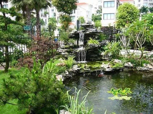 园林假山如何根据地形和植物搭配，打造出既美观又实用的山水景观？