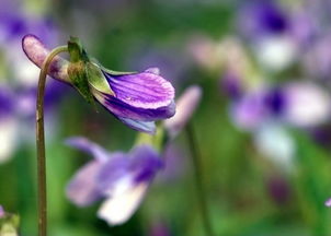 天气预警：哪些情况不要播种
