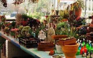 园艺入门， 先懂点小门道