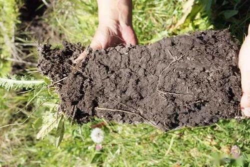 土壤，那神秘的土壤