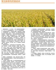 遭遇除草剂药害，我要怎么办？