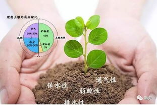 土壤酸碱性如何形成？自然因素与人类活动共同作用