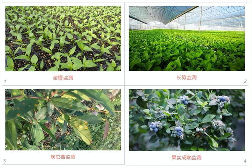 农业生产的得力助手