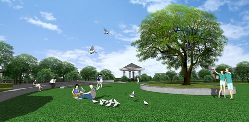 先说说我们要知道花圃是什么地形