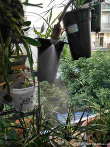 一、 花的浇水与喝水的奇思妙想