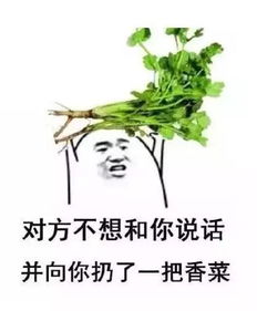 近期香菜价格持续上涨，高位运行