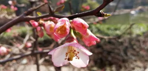 温度与光照的讲究