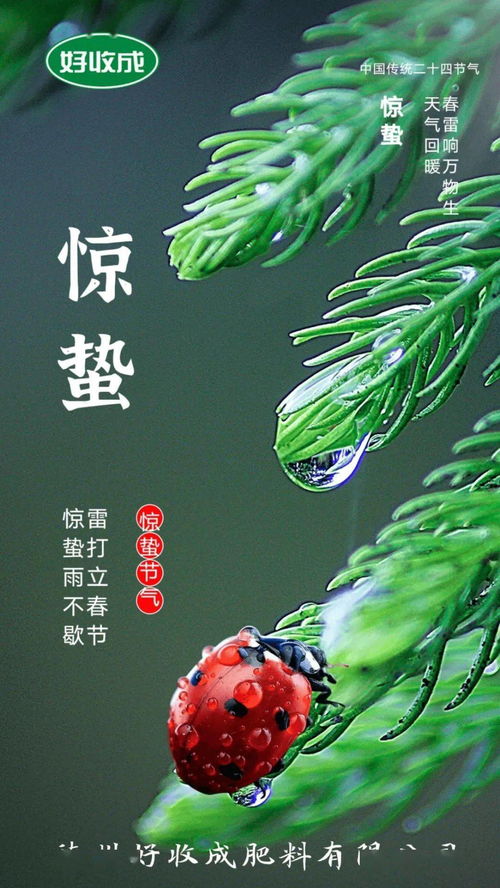 丁香易受病虫害侵袭，需及时防治