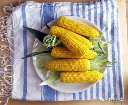 处理过的玉米Neng用烟嘧黄隆吗