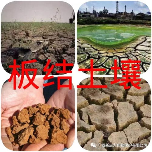 多菌灵拌种一亩用量是多少？不同作物和土壤条件有区别吗？