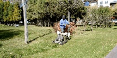 修剪与切边， 美观又实用