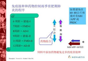 高效猪场疾病防控策略