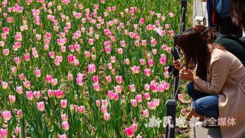 普通花儿也嫩带来惊喜