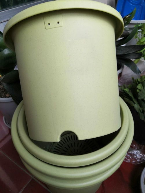 茶与瓷器搭配讲究 色相映