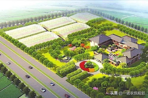 生态环境的讲究